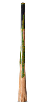Jesse Lethbridge Didgeridoo (JL317)
